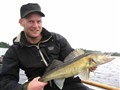 IMG_6353  neddragen.jpg