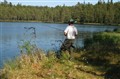 fiske mm 2 037.JPG